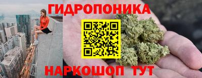 бошки Краснознаменск